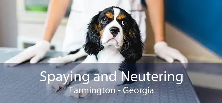 Spaying and Neutering Farmington - Georgia