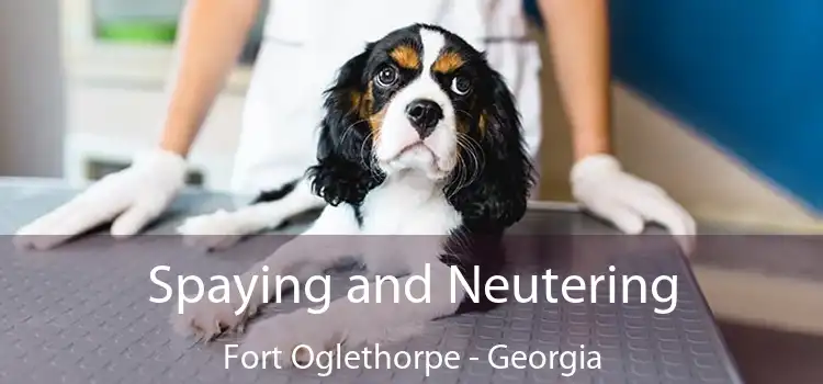 Spaying and Neutering Fort Oglethorpe - Georgia