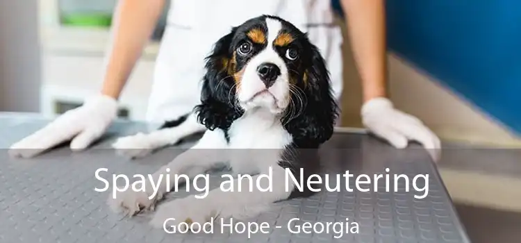 Spaying and Neutering Good Hope - Georgia