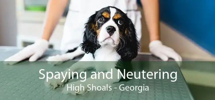 Spaying and Neutering High Shoals - Georgia