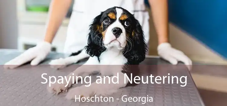 Spaying and Neutering Hoschton - Georgia