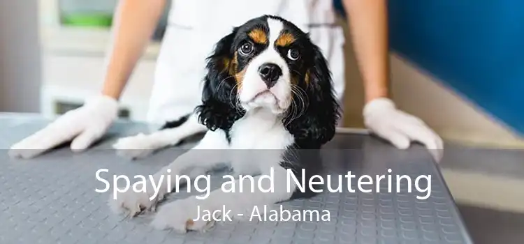 Spaying and Neutering Jack - Alabama