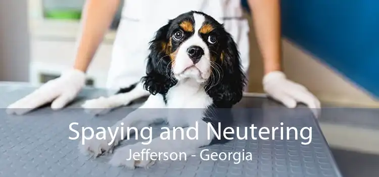 Spaying and Neutering Jefferson - Georgia