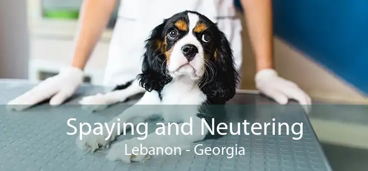 Spaying and Neutering Lebanon - Georgia