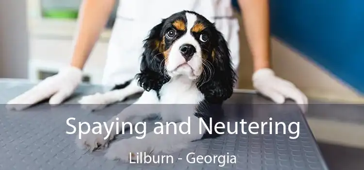 Spaying and Neutering Lilburn - Georgia