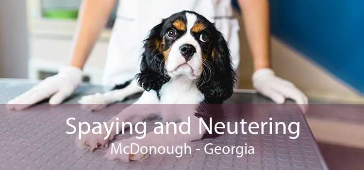Spaying and Neutering McDonough - Georgia