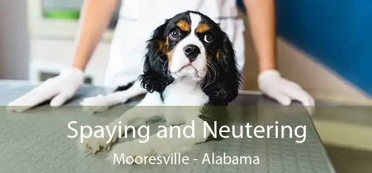 Spaying and Neutering Mooresville - Alabama