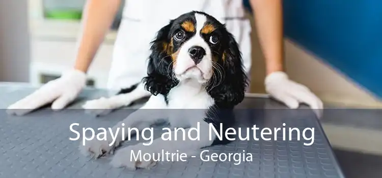 Spaying and Neutering Moultrie - Georgia