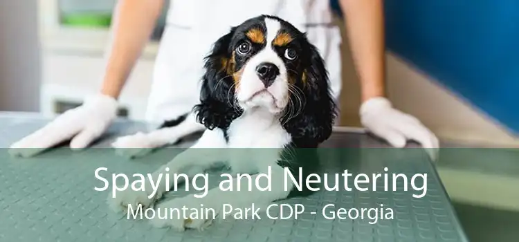 Spaying and Neutering Mountain Park CDP - Georgia