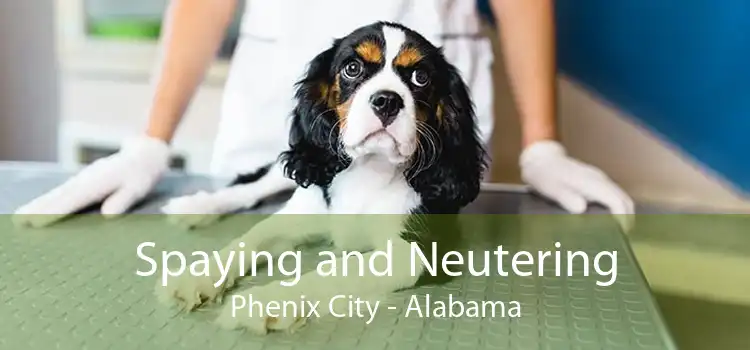Spaying and Neutering Phenix City - Alabama