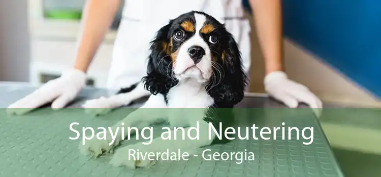 Spaying and Neutering Riverdale - Georgia