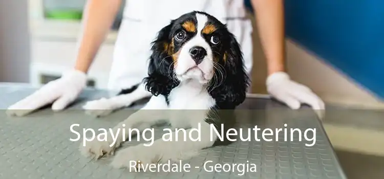 Spaying and Neutering Riverdale - Georgia