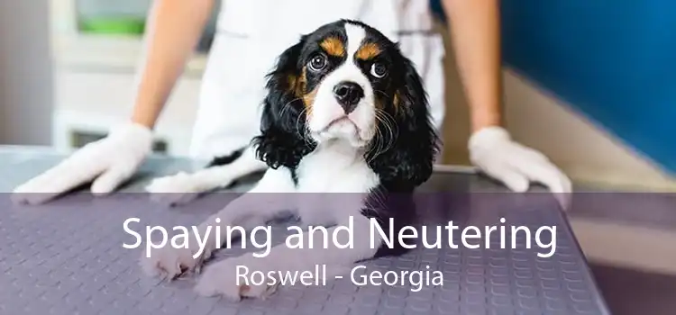 Spaying and Neutering Roswell - Georgia