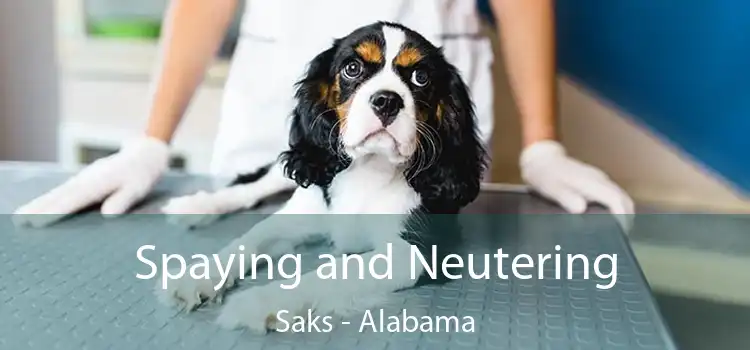 Spaying and Neutering Saks - Alabama