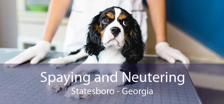 Spaying and Neutering Statesboro - Georgia