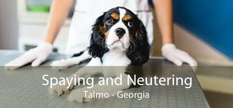 Spaying and Neutering Talmo - Georgia