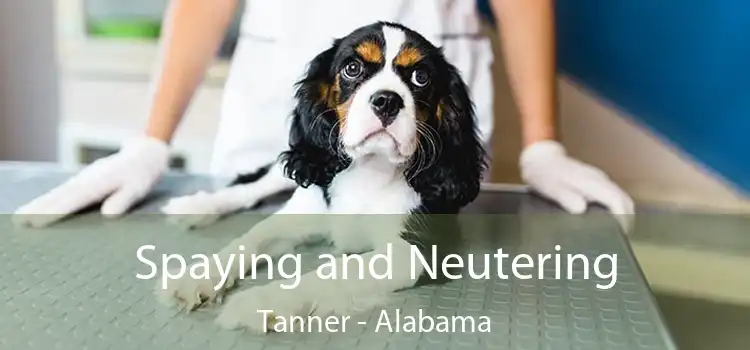 Spaying and Neutering Tanner - Alabama