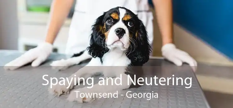 Spaying and Neutering Townsend - Georgia