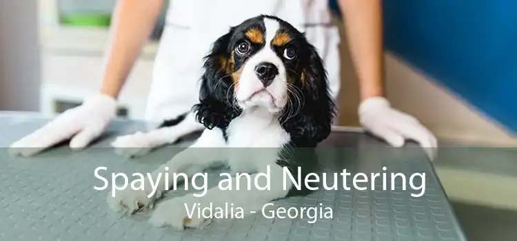 Spaying and Neutering Vidalia - Georgia