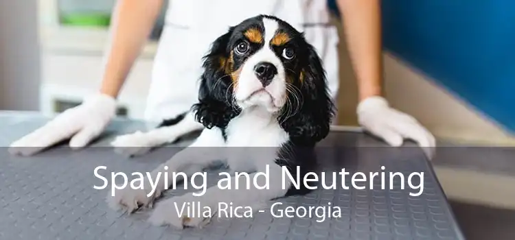 Spaying and Neutering Villa Rica - Georgia