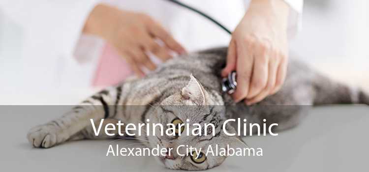Veterinarian Clinic Alexander City Alabama