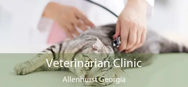 Veterinarian Clinic Allenhurst Georgia
