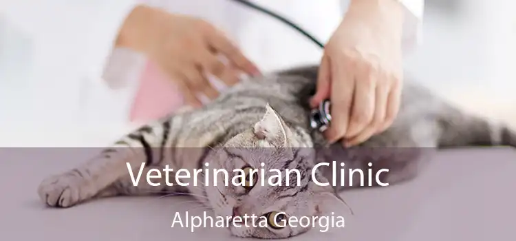 Veterinarian Clinic Alpharetta Georgia