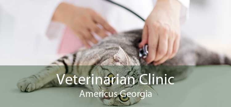 Veterinarian Clinic Americus Georgia
