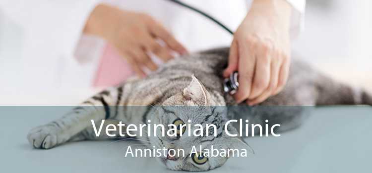 Veterinarian Clinic Anniston Alabama