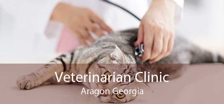 Veterinarian Clinic Aragon Georgia