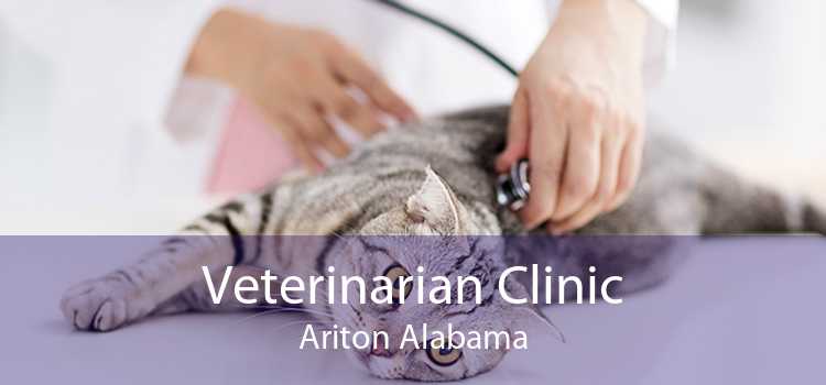 Veterinarian Clinic Ariton Alabama