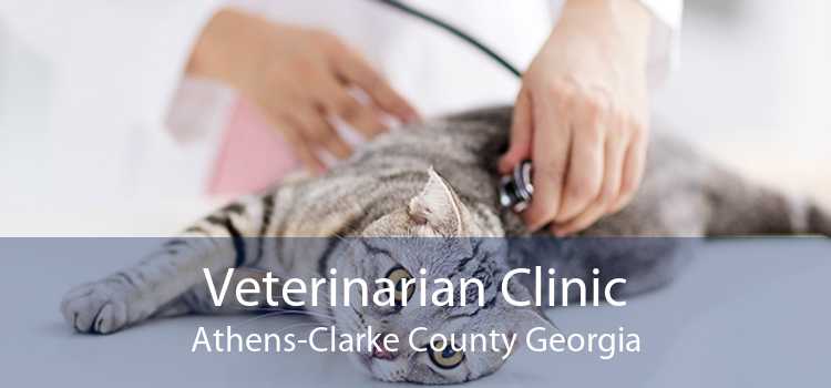 Veterinarian Clinic Athens-Clarke County Georgia