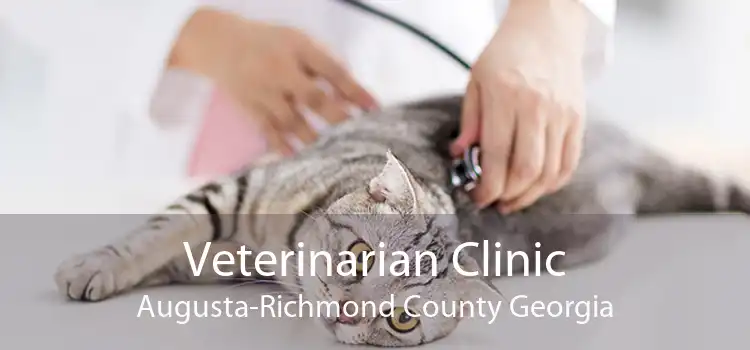 Veterinarian Clinic Augusta-Richmond County Georgia