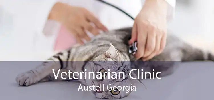 Veterinarian Clinic Austell Georgia