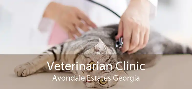 Veterinarian Clinic Avondale Estates Georgia