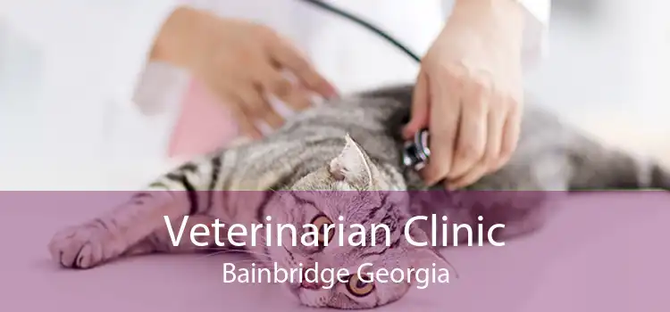 Veterinarian Clinic Bainbridge Georgia