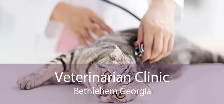 Veterinarian Clinic Bethlehem Georgia