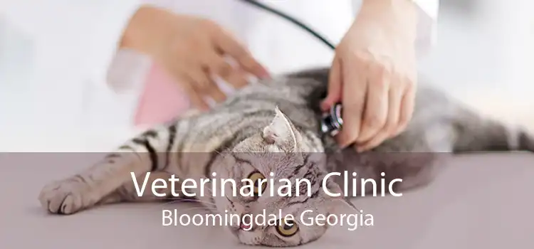 Veterinarian Clinic Bloomingdale Georgia