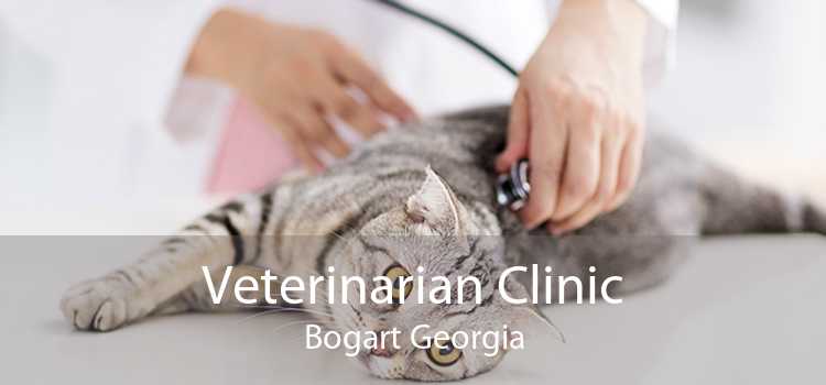 Veterinarian Clinic Bogart Georgia