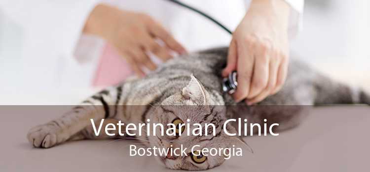 Veterinarian Clinic Bostwick Georgia