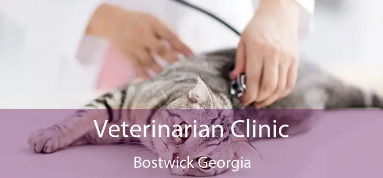 Veterinarian Clinic Bostwick Georgia