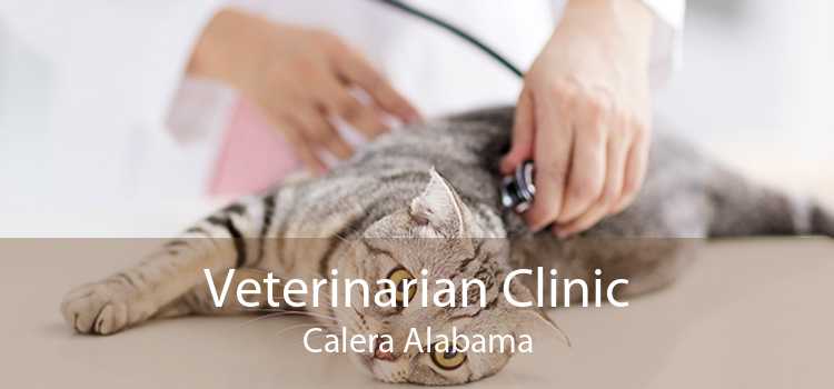 Veterinarian Clinic Calera Alabama