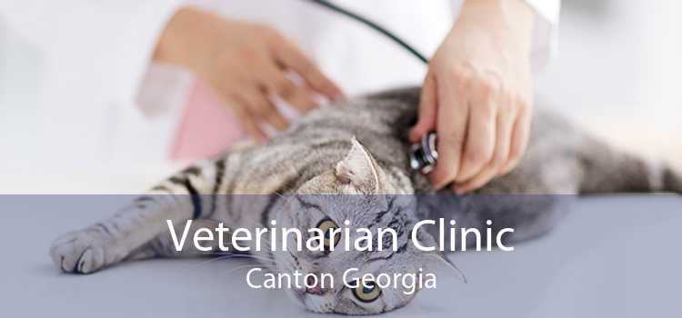 Veterinarian Clinic Canton Georgia