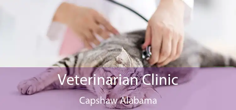 Veterinarian Clinic Capshaw Alabama
