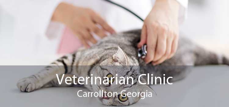 Veterinarian Clinic Carrollton Georgia