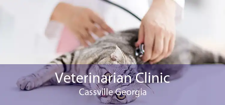 Veterinarian Clinic Cassville Georgia