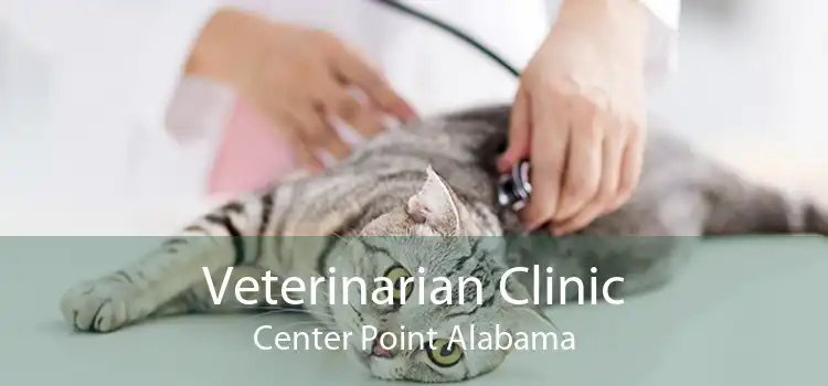 Veterinarian Clinic Center Point Alabama