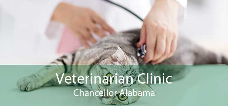Veterinarian Clinic Chancellor Alabama