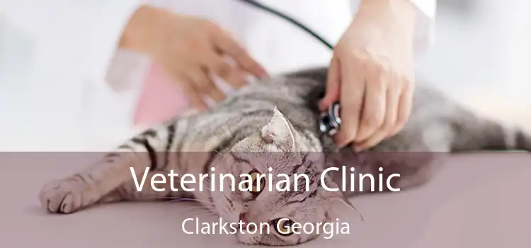 Veterinarian Clinic Clarkston Georgia