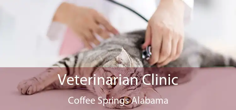 Veterinarian Clinic Coffee Springs Alabama